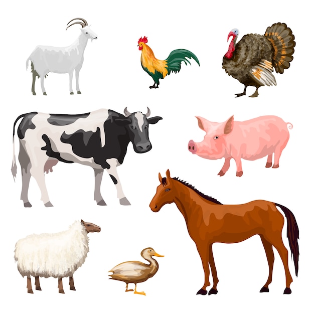 Farm Animals Set