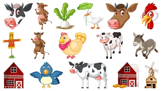 Farm animals on white background