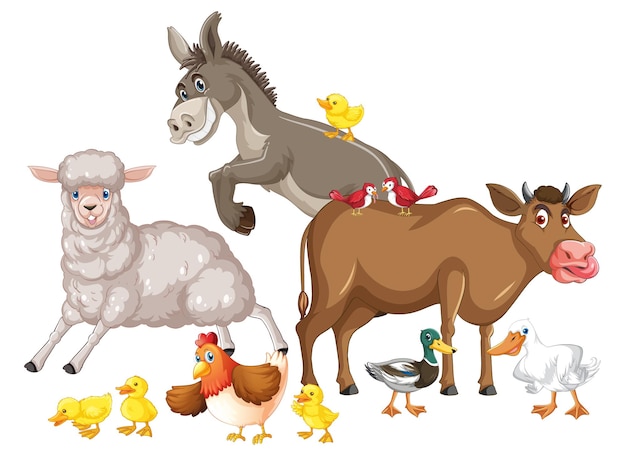 Farm animals on white background