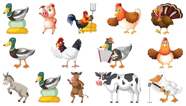 Farm animals on white background