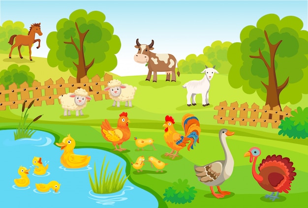 Farm animals