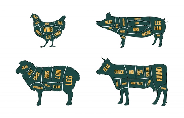 Free Vector farm cattle set