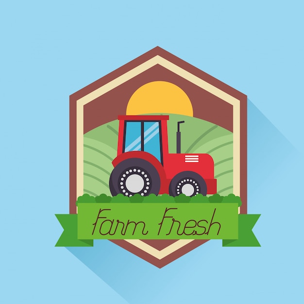 Free Vector farm fresh cartoon