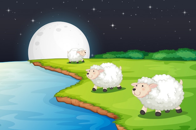 Free Vector farm scene with cute sheep and river side at night