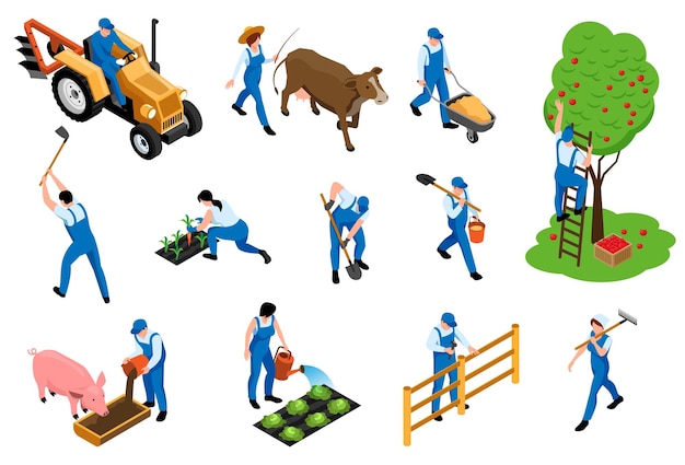 Farmers duties isometric icons set with dairy livestock breeding feeding pig harvesting orchard planting seedlings vector illustration