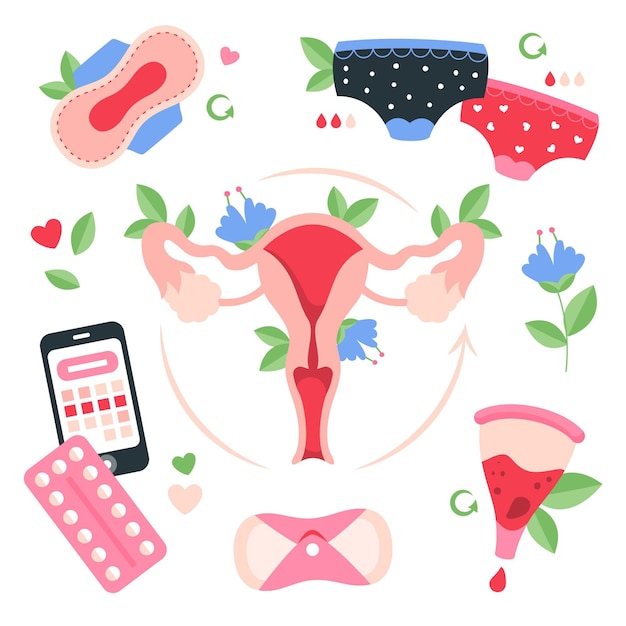 Female reproductive system concept with hygiene products