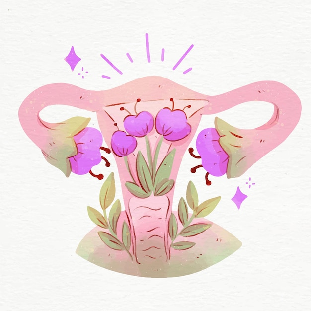 Free Vector female reproductive system with flowers