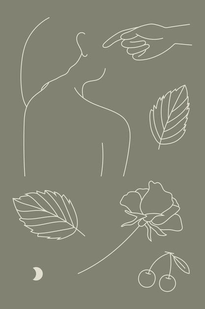 Free Vector feminine line art collection vector