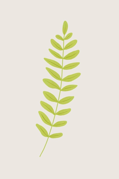 Free Vector fern branch design element 