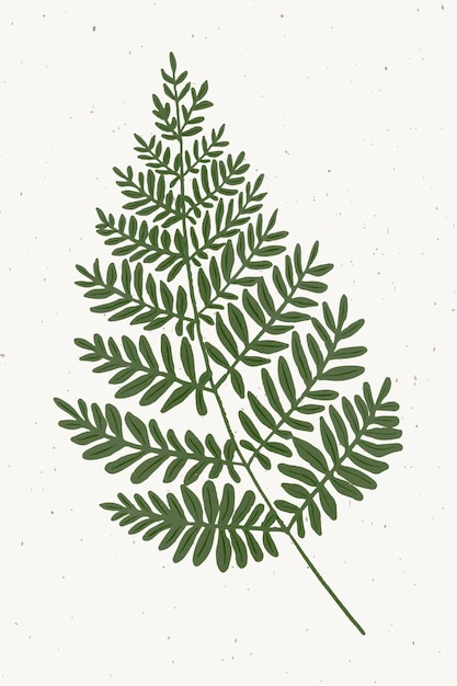 Free Vector fern branch design element 