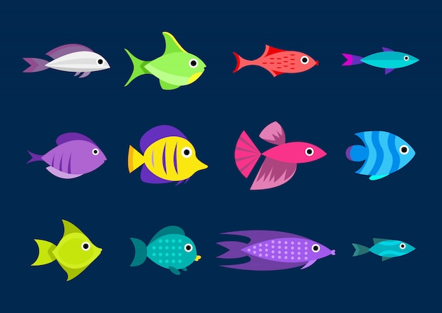 Fish collection. Cartoon style. Illustration of twelve different fish