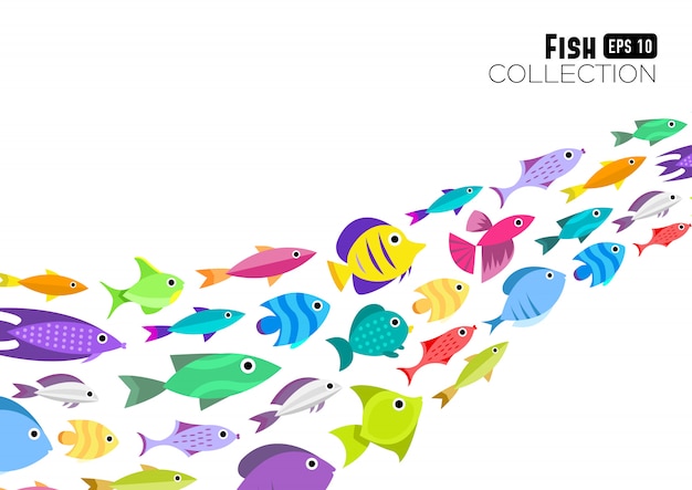 Fish collection. Cartoon style. Illustration of twelve different fish