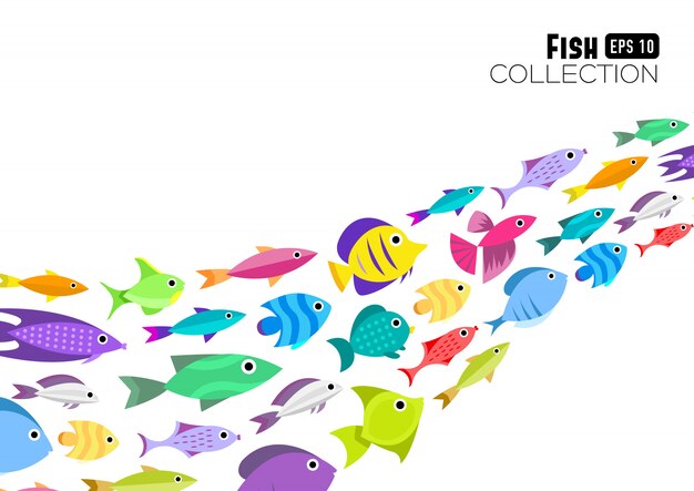 Fish collection. Cartoon style. Illustration of twelve different fish