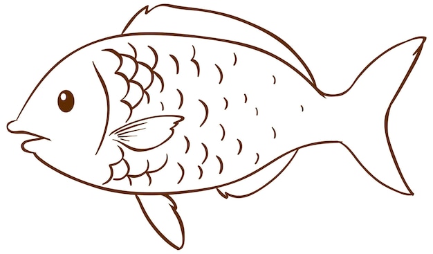 Free Vector fish in doodle simple style on white background