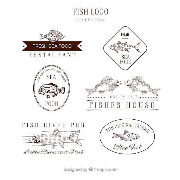 Free Vector fish logos collection for companies branding