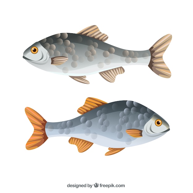 Free Vector fishes