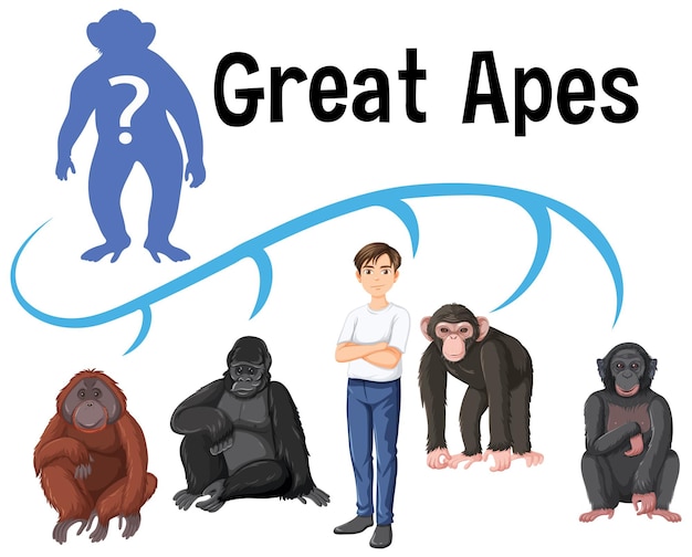 Free Vector five different types of great apes