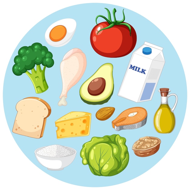 Free Vector the five food groups isolated