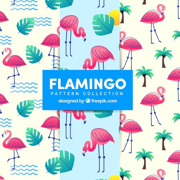 Free Vector flamenco summer pattern