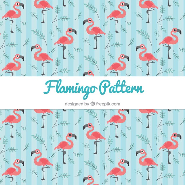 Flamenco summer pattern