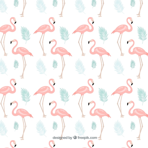 Flamenco summer pattern