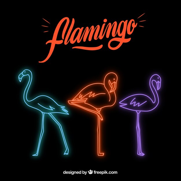 Flamingo shape with neon light