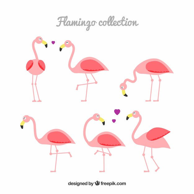 Flamingos collection with different postures in flat style