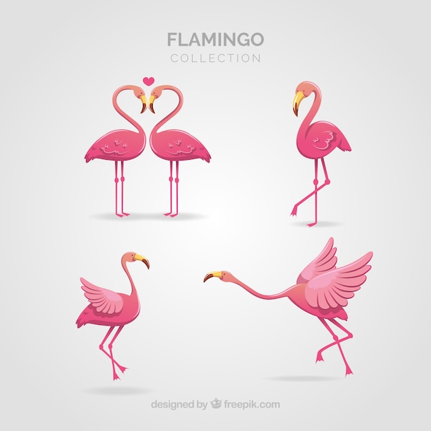 Flamingos collection with different postures in flat style