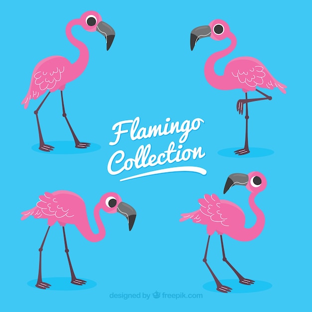 Free vector flamingos collection with different postures in flat style