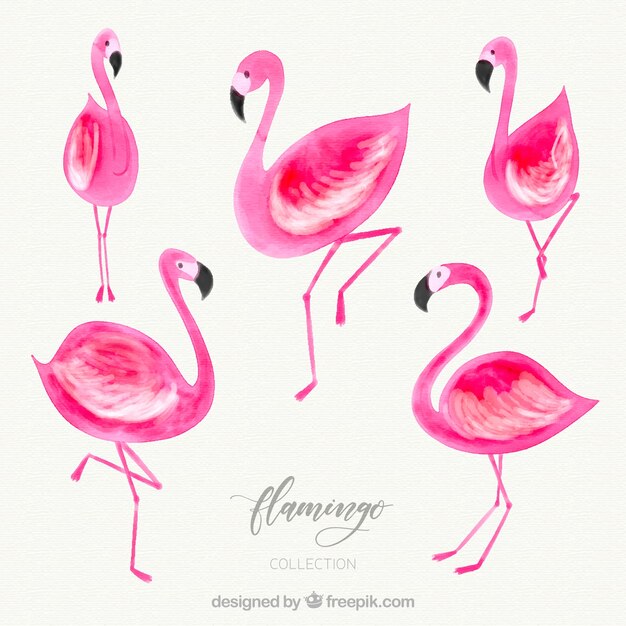 Flamingos collection with different postures in watercolor style