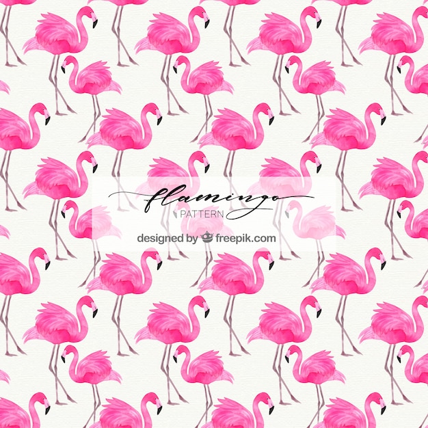 Flamingos pattern in watercolor style