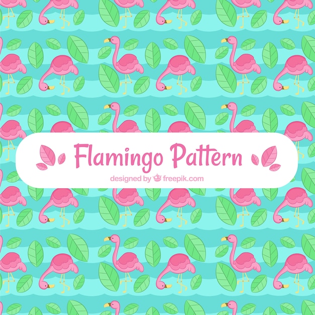 Free Vector flamingos pattern with plants in hand drawn style