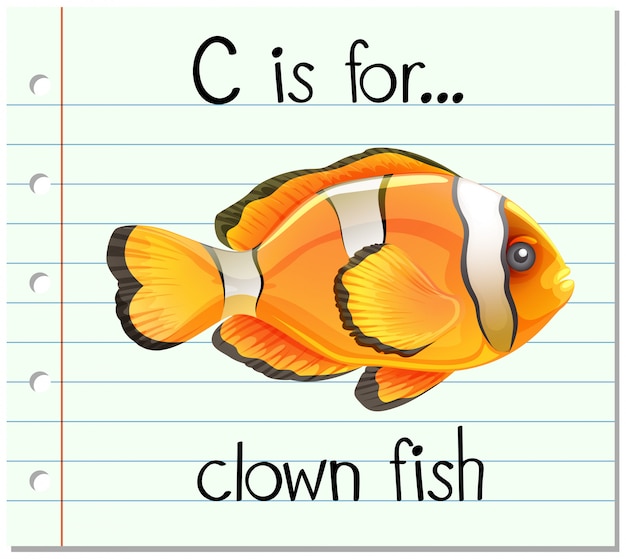 Flashcard letter C is for clown fish