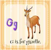 Free vector flashcard letter g is for gazelle