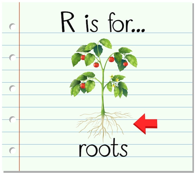 Flashcard letter R is for roots