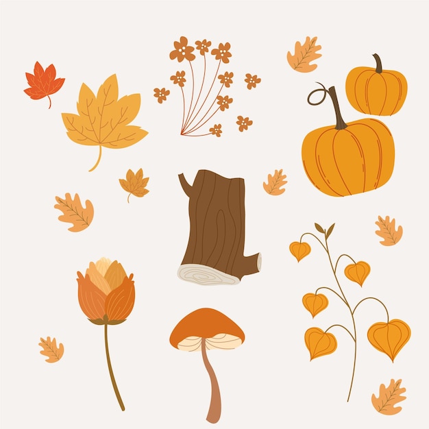 Free Vector flat autumn elements collection