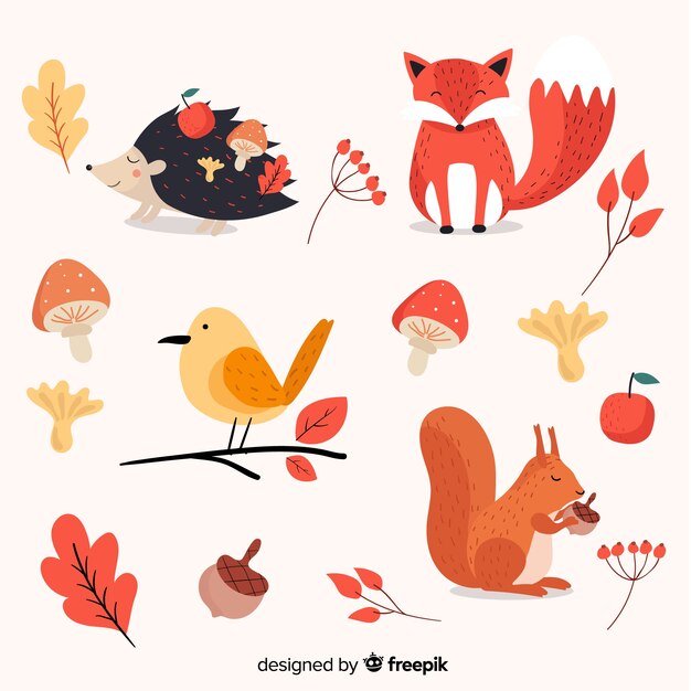 Flat autumn forest animals collection