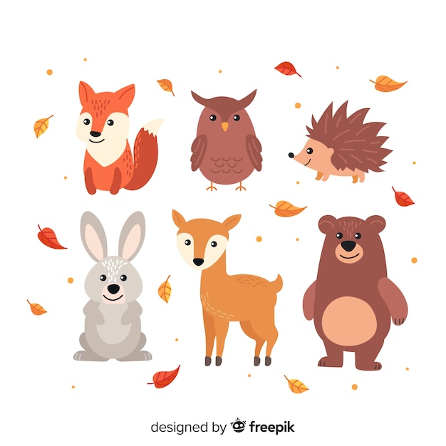 Flat autumn forest animals collection