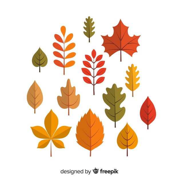 Flat autumn forest leaves collection