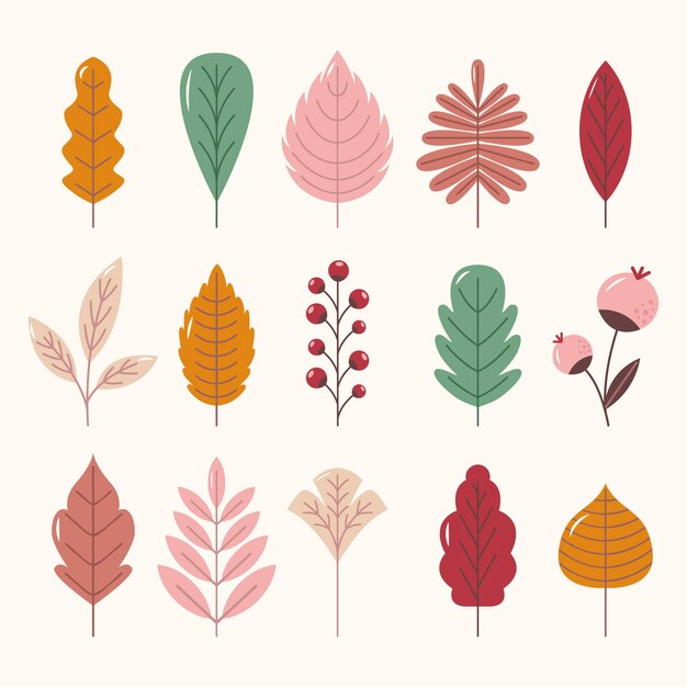 Flat autumn leaves collection