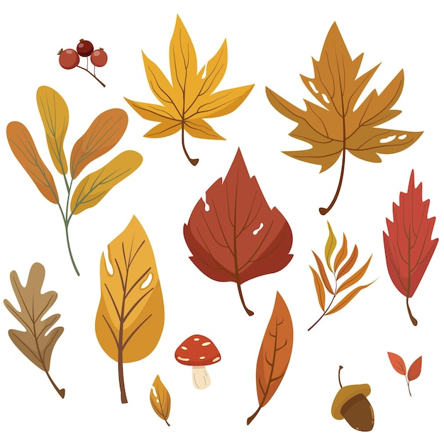 Flat autumn leaves collection