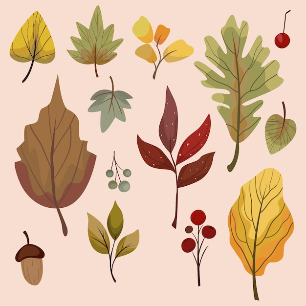 Free Vector flat autumn leaves collection