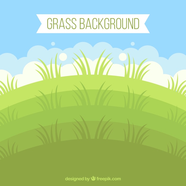 Flat background with grass in green tones