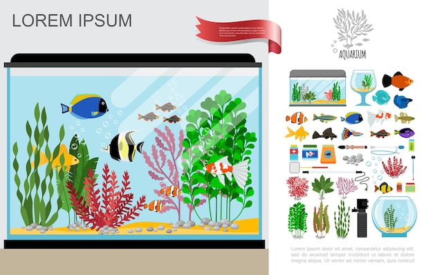 Free Vector flat beautiful aquarium composition with bright fishes cleaning equipment food corals seaweed thermometer lamp and stones