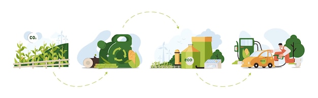 Free vector flat biofuel life cycle with corn wood and sugarcane biomass