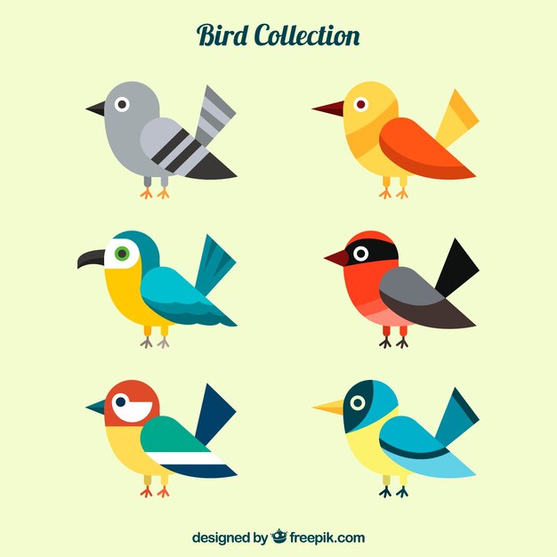 Flat bird collection