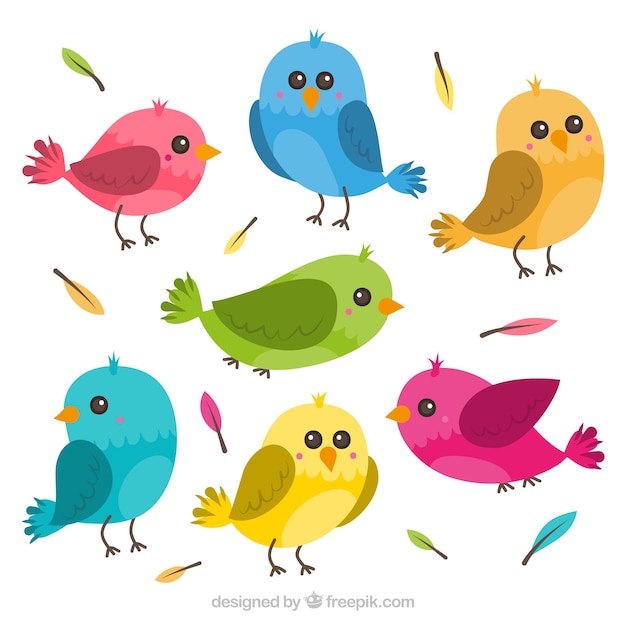 Free Vector flat bird collection