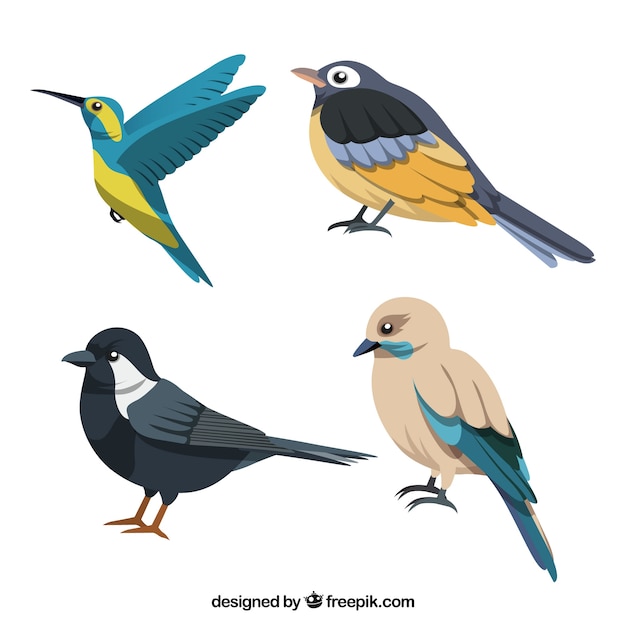 Flat bird collection