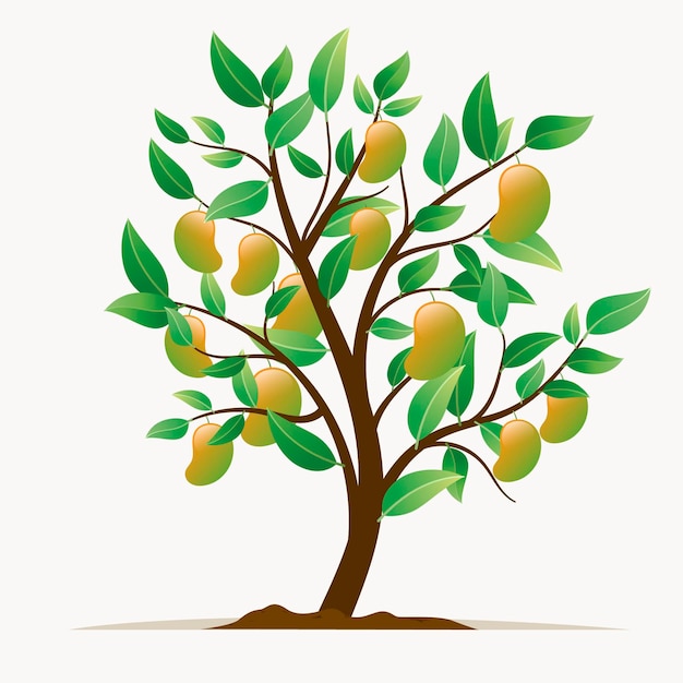 Free Vector flat botanical mango tree illustration