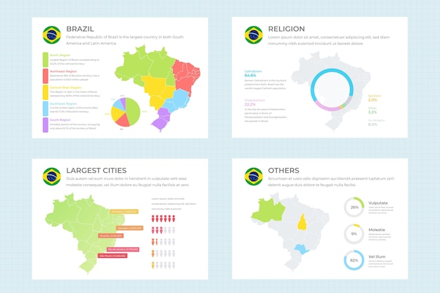 Flat brazil map infographic